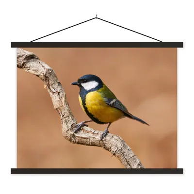 Produktbild von MuchoWow® Textilposter Vogel - Kohlmeise - Zweige 40x30 cm mit schwarzem Rahmen - Dekorationen