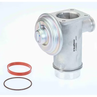 Produktbild von BorgWarner 711025D AGR-Ventil mit Dichtung für BMW 3 Touring (E91) Abgasrückführungsventil