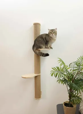 Produktbild von Katzenkratzsäule aus Holz mit Jute, 127 cm