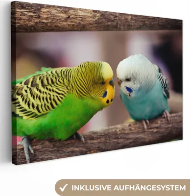 Zdjęcie produktu dla OneMillionCanvasses® - Obrazy na płótnie - 140x90 cm, Dwie papużki, dekoracja ścienna - Zdjęcie na płótnie - Obraz na drewnianej ramie
