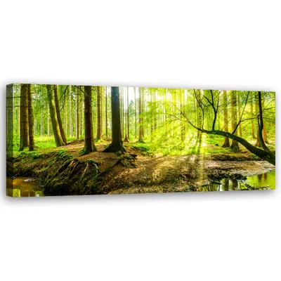Produktbild von Leinwandbild Grüner Wald 90x30 Feeby Grün bild für die wand bereit zum aufhängen
