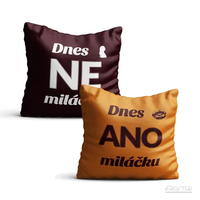 Obrázek produktu pro Dárkový povlak na polštář - Ano/Ne (CZ)