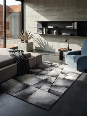 Teppich Anthrazit rechteckig im modernen Wohnzimmer_#sku_BARK18294-BARK18295#