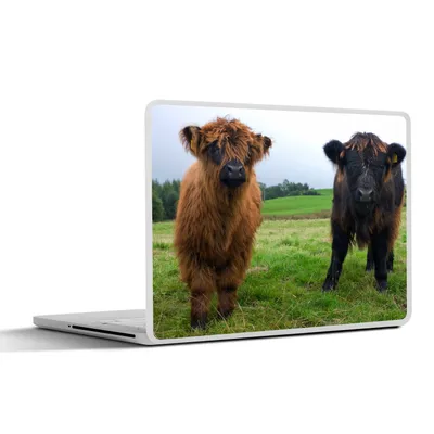 Produktbild von MuchoWow® Laptop Aufkleber Sticker Cover Schottische Highlander - Kühe - Natur - Grün - Gras 36.5x27.5 cm - Laptop-Sticker