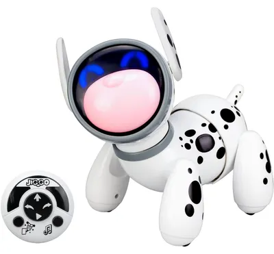 Produktbild von Silverlit YCOO Jiggo