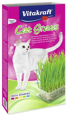 Productafbeelding van Vitakraft 24031, Pamlsek, Kat, Universeel, 120 g