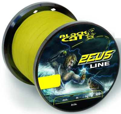 Produktbild von Black Cat Zeus Line Schnur - 3000m Wallerschnur, Durchmesser/Tragkraft:0.45mm / 37kg