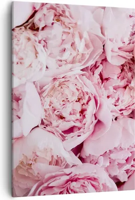 Produktbild von Bild auf Leinwand - Leinwandbild - Einteilig - Blumenstrauß Blumen Rosa - 50x70cm - Wand Bild - Wanddeko - Wandbilder - Leinwanddruck - Wanddekoration - Leinwand bilder - Wandbild - PA50x70-5001