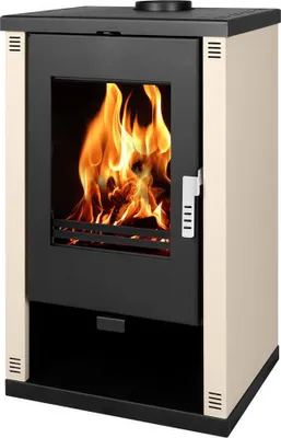 A freestanding wood-burning stove with a glass door showing flames.