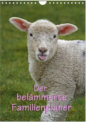 Produktbild von Der belämmerte Familienplaner (Wandkalender 2025 DIN A4 hoch), CALVENDO Monatskalender