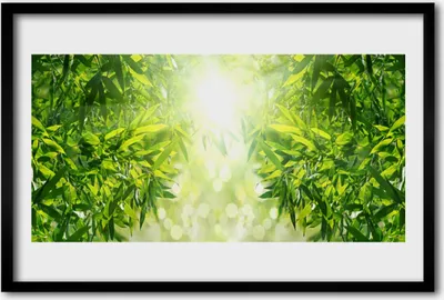 Produktbild von Bild 60x40 MDF-Rahmen Wandkunst Blätter Natur Pflanze