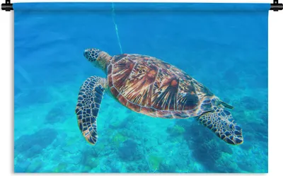 Produktbild von MuchoWow® Wandteppich Wandbehang Schildkröte - Meer - Blau 60x40 cm Tapisserie Dekoration Wandtuch - Wanddekorationen