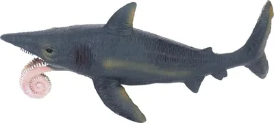Produktbild von Simulation Hai-Modell, lebensecht, lebendig, pädagogisches Helicoprion-Spielzeug, Meerestier für über 3 Jahre