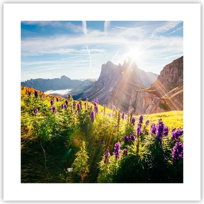 Produktbild von Poster - Poster ohne Rahmen - Berge Wiese Blumen - 40x40 cm - Wand Bild - Wanddeko - Wandbilder - Kunstposter - Wandposter - Bilder - Kunstdruck - Wanddekoration - Wandbild - P2XAC40x40-4008