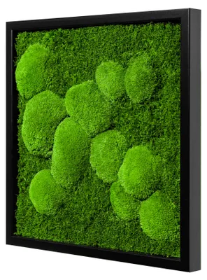 Produktbild von Moosbild Fifty Fifty Design (25x25, schwarz)
