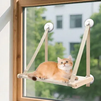 Immagine prodotto di Feci appiccicose di gatto sul davanzale della finestra