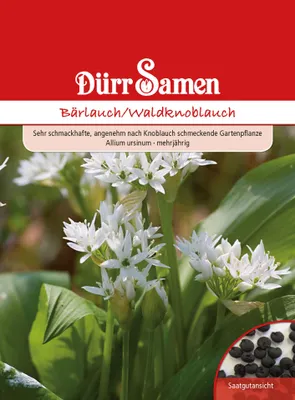 Produktbild von Dürr-Samen - Bärlauch/ Waldknoblauch - Saatgut - 0071