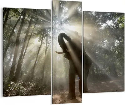 Produktbild von Bild auf Leinwand - Leinwandbild - Elefant Dschungel  - 95x80cm - Wand Bild - Wanddeko - Wandbilder - Leinwanddruck - Bilder - Kunstdruck - Wanddekoration - Leinwand bilder - Wandkunst - CB95x80-3835