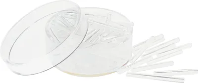 Produktbild von Pracht Creatives Hobby GmbH Glasstifte kristall 19mm 19mm