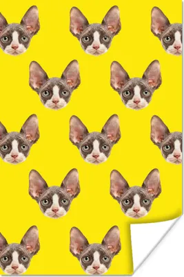 Produktbild von MuchoWow® Poster Katze - Muster - Gelb 40x60 cm - Plakate für die Wand - Poster Babyzimmer