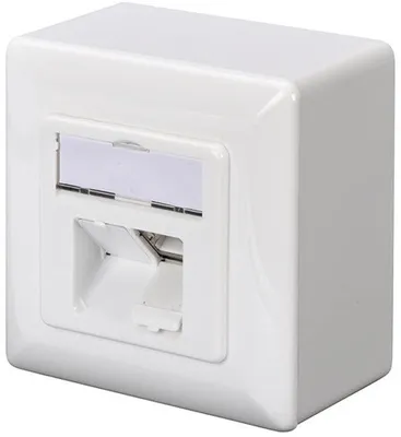 Image de Prise en saillie DIGITUS Cat.5e, classe D, 2 x RJ45, blindée