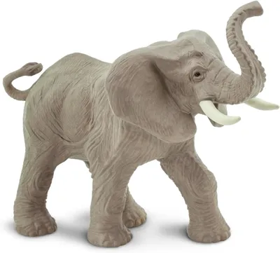 Produktbild von Safari - 238429 - Elefant, 14,5 x 11,5cm, BPA-frei