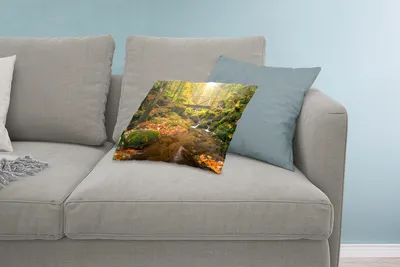 Produktbild von MuchoWow® Zierkissen Sofakissen Wohnzimmer Dekokissen 60x40 cm Der Schwarzwald in Deutschland im Herbst - Kopfkissen - Polster mit Foto