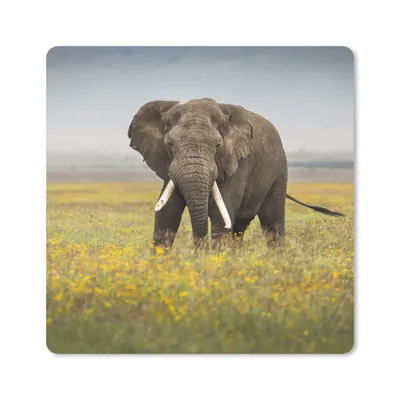 Produktbild von MuchoWow® Mauspad Mousepad Elefant - Blumen - Gras - Tiere - Natur 30x30 cm - Mousepads - Maus Mat - Pad - Mausunterlage - Gaming