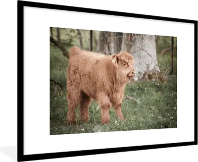 Produktbild von MuchoWow® Gerahmtes Poster Schottischer Highlander - Licht - Wald 90x60 cm - Poster mit Schwarzem Bilderrahmen Wandposter Rahmen Foto Bilder - Wanddekoration - Fotos