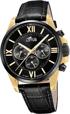 Image de Lotus montre homme en acier inoxydable noir Elegant Classic D2UL18882/1