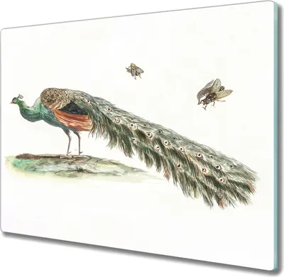 Produktbild von Coloray Küchenbrett Kochplattenabdeckung Hackbrett Schneidebrett Herdabdeckplatte 60x52 cm - Tiervogelblumen