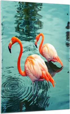 Produktbild von Bilder auf glas - Einteilig - Rosa Flamingos Wasser - 70x100cm - Glasbilder - Wandbilder - Bilder - zum Aufhängen bereit - Wanddekoration aus Glas - Glas Bilder - Wandbild auf Glas - GPA70x100-4203
