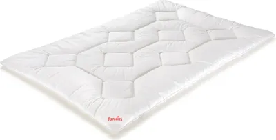Produktbild von Paradies Ganzjahresbettdecke Anela Bio medium warm Größe 135x200