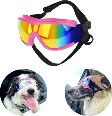 Produktbild von Hundesonnenbrille - Verstellbare Schutzbrille - UV- und Wasserabweisend - Winddicht - Für kleine und mittelgroße Hunde - Cadeaus - Rosa Rot