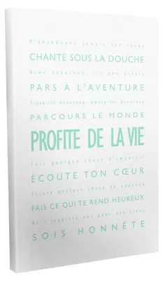 Canvas-Bild "Profite de la Vie", mintgrün/weiß, 40x60 cm