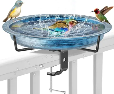 Image de Mangeoire pour oiseaux suspendue pour balcon Décoration de jardin Noir