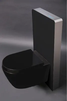 Produktbild von BERNSTEIN WC-Komplettpaket 33: Wand-Hänge-WC B-8030R Schwarz Matt mit Soft-Close Sitz & Sanitärmodul 805S Schwarz