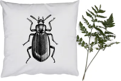 Produktbild von MuchoWow® Zierkissen Sofakissen Wohnzimmer Dekokissen 60x60 cm Käfer - Tiere - Vintage - Sitzfläche - Foto Polster