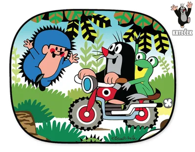 Immagine prodotto di Paralume per auto 2 X Talpa