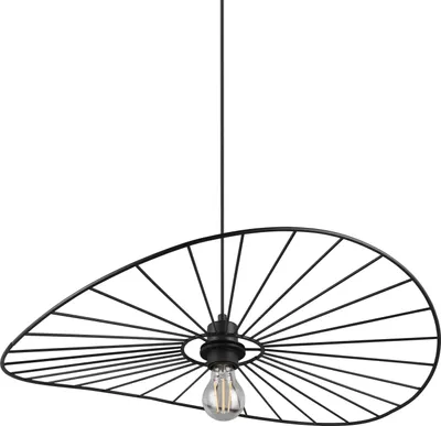 Image de Reality Chapeau Lampe à suspendre E27 ⌀60cm noir mat