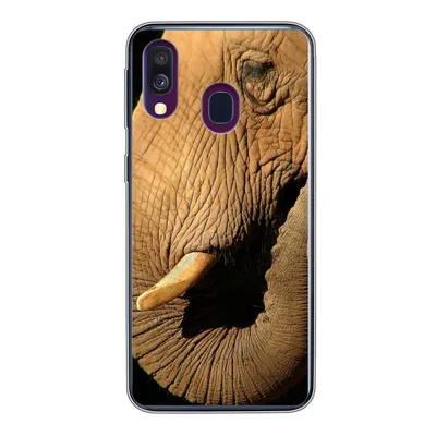Produktbild von MuchoWow® Handyhülle Schutzhülle Hülle für Samsung Galaxy A40 Elefant - Tiere - Nahaufnahme - Schwarz Silikon Softcase Handy Hülle - Handy-Tasche