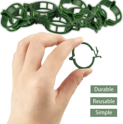 Imagen del producto de Abrazaderas de soporte para plantas, color verde, 200 unidades, para tomates y plantas trepadoras