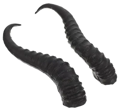 Künstliche Schafshörner, 1 Paar, Kunststoff, 24,5 cm, Halloween-Kostümzubehör