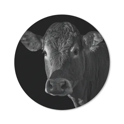 Produktbild von MuchoWow® Mauspad Mousepad Kuh - Tiere - Schwarz - Weiß - Porträt 50x50 cm - Mousepads - Maus Mat - Pad - Mausunterlage - Vinyl