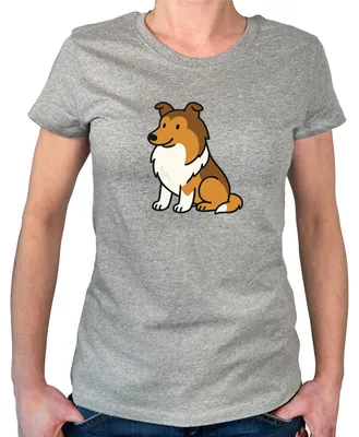 Produktbild von Huuraa Damen T-Shirt Collie Comic Colli XXL Sport Grey Bio Baumwolle Fairtrade Damenshirt Geschenkidee