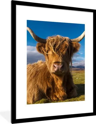 Produktbild von MuchoWow® Gerahmtes Poster Schottische Highlander - Tiere - Gras 60x80 cm - Poster mit Schwarzem Bilderrahmen Wandposter Rahmen Foto Bilder - Wohnzimmer - Dekorationen - Prämie