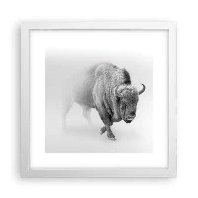 Produktbild von Gerahmtes Poster - Weißer Rahmen - Wisent Schwarzweiß Licht - 30x30 cm - Wand Bild - Wanddeko - Wandbilder - Kunstposter - Wandposter - Bilderrahmen - Bilder - Kunstdruck - P2WAC30x30-4418