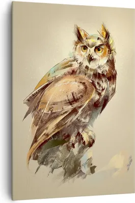 Produktbild von Bild auf Leinwand - Leinwandbild - Einteilig - Eule Vogel Natur - 70x100cm - Wand Bild - Wanddeko - Wandbilder - Leinwanddruck - Wanddekoration - Leinwand bilder - Wandbild - PA70x100-3856