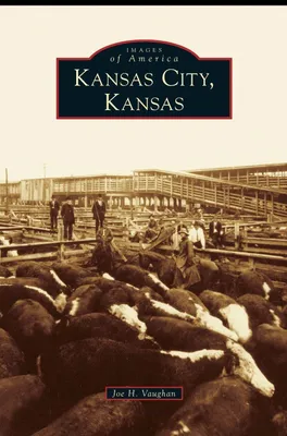 Produktbild von Kansas City, Kansas