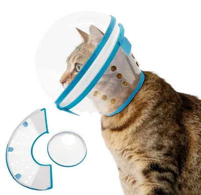 Immagine prodotto di Collare trasparente per gatti, collare morbido per gatti, protezione anti-perdite, collare per gatti, collare per cani